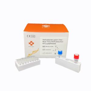 Gastrointestinal Disease Molecular Diagnostic Helicobacter Pylori Hp PCR