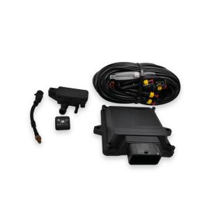 48 Pin CNG LPG Programmable ECU 4 Cylinder Autogas Programmable ECU Universal