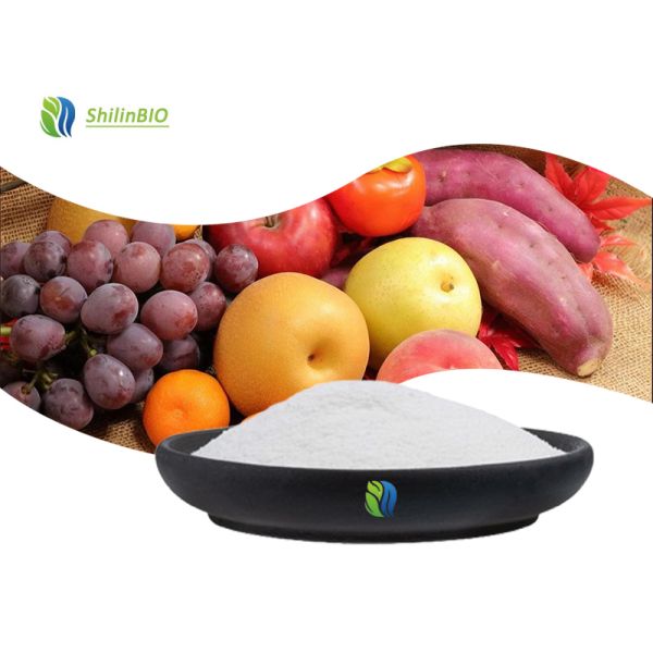 Food Grade Vitamin B1 Thiamine Hcl Supplements Hydrochloride Thiamine HCL Vitamin B1 Powder