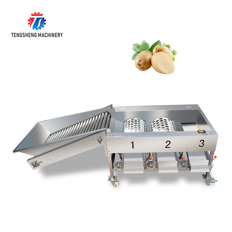 Quality 150KG 380V Lemon screening and grading machine stainless steel fruit sorting machine citrus fruit sorting machine for sale