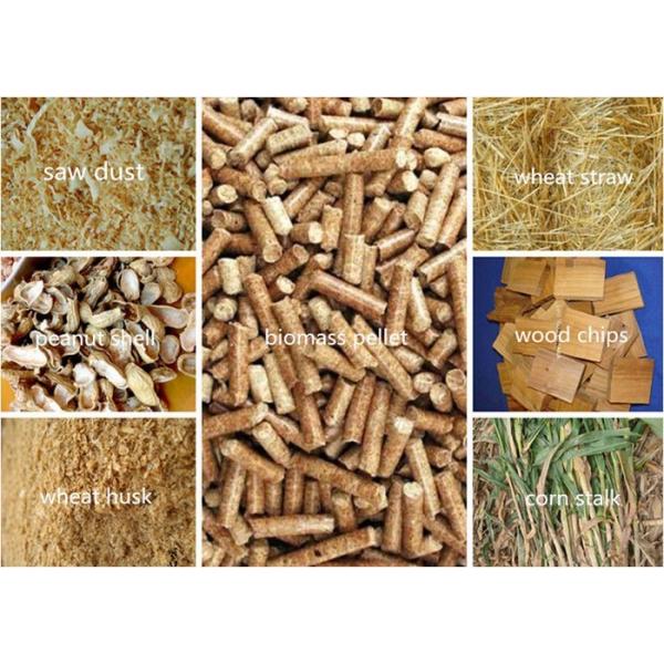 Manual Operate 1ton 2ton 3ton 4ton Steam Capacity Biomass Wood Steam Boiler With 10bar