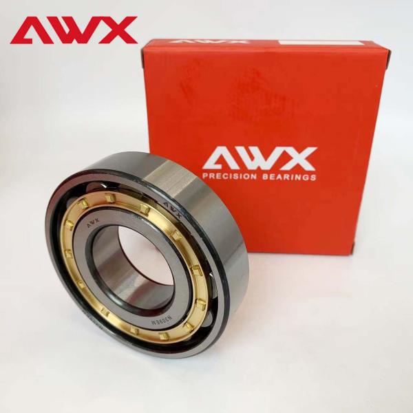 Performance Full Complement N309EM Cylindrical Needle Roller Bearing