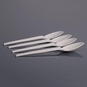 FDA Biodegradable Disposable 15CM Pla Spoon