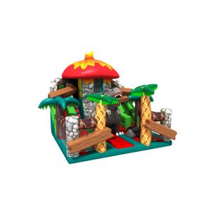 Giant Tarpaulin Inflatable Bounce Water Slide Combo