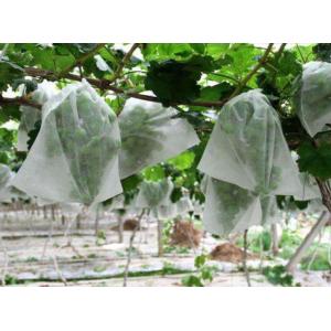 Plain Style Nonwoven Fabric for Bed Sheet Packaging 100% PP Spunbond Non Woven