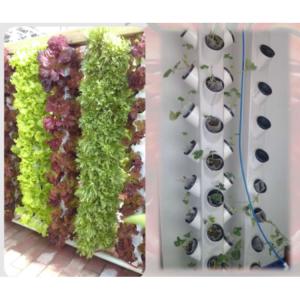Greenhouse Aeroponic Vertical Rotary Tower Water Mist Column Cultivation