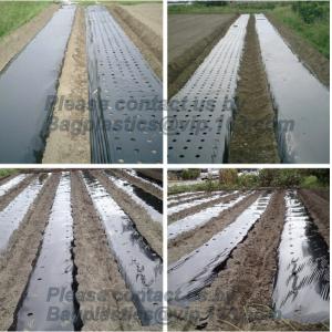 Agricultural PE Film, Agriculture Polyethylene, Film, mulch films, horticultural