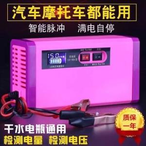 Smart Lead Acid Motorbike Battery Trickle Charger 220v Dc For Electric Scooter