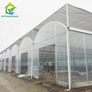 Polytunnel Plastic Film Agricultural Sawtooth Greenhouse Multi-span