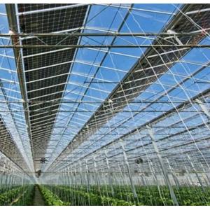 Heat Storage Single-Arch Commercial Photovoltaic Greenhouses Long-Lasting