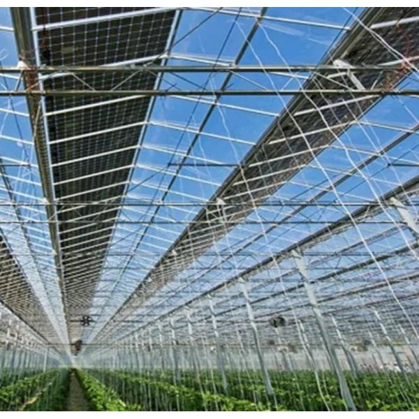 Heat Storage Single-Arch Commercial Photovoltaic Greenhouses Long-Lasting