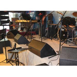 Conference Monitor Speaker Full Range