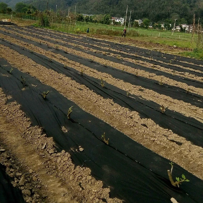 PP Woven Geotextile Drainage Fabric Mat Ground 4m x 50m Anti Weed