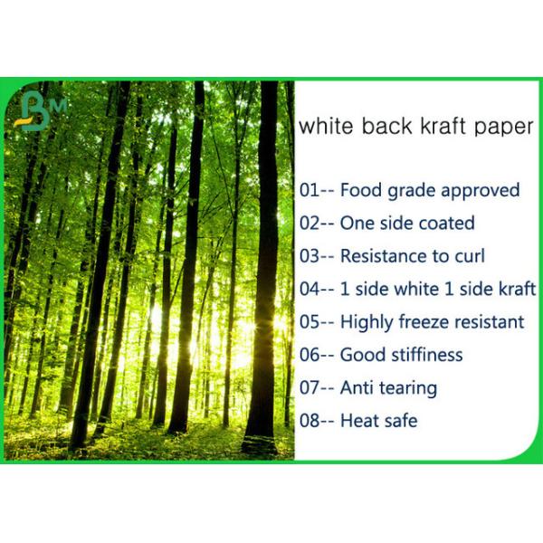 High Resistance Freezing White Back Kraft Paper 325g 365g Of 31inch 35inch