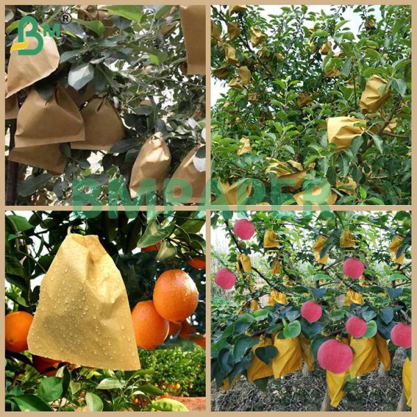 Waterproof Brown Paper 55gsm For Fruit Protection Bags Plant Covers Waterproof Brown Paper 55gsm For Fruit Protection Bags Plant Covers