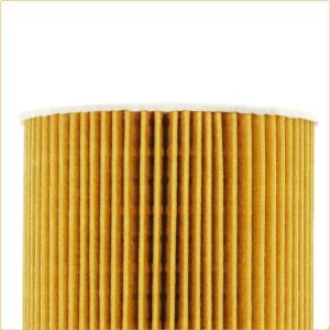 Gasoline Oil Filter 11427834734 11427840594 11427837997 For BMW