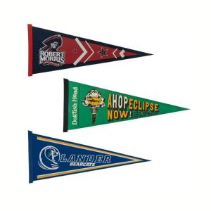 20x45cm Felt Triangle Banner