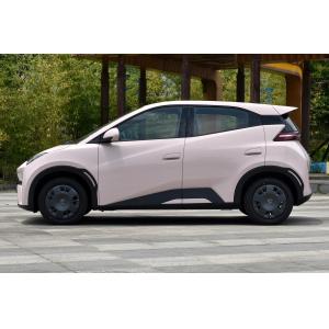 BYD Seagull 2024 Honor Version 305KM Vitality Version