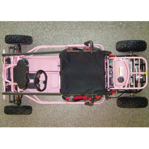 110cc Kids Off Road Go Kart Two Seats Rear Rack With CVT Transmission / Reverse