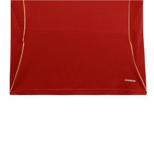 2025-2026 Aston Villa fans home jersey group customization