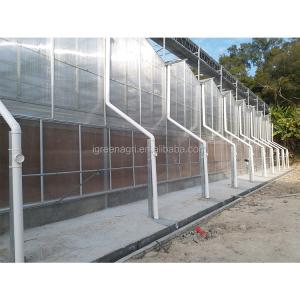IGreen Polycarbonate Greenhouse Panels for Flowers and Vegetables Customized