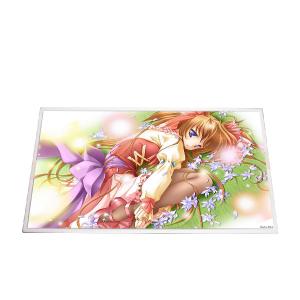 1920*1080 FHD 1080p laptop screen B156HW01 V0