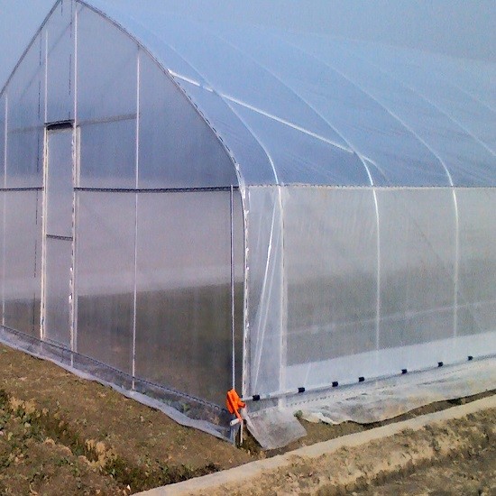 Buy Hot Dip Galvanized Steel 4m Single SpanWaterproof Film Cover 9m Tunnel Plastic Greenhouse at wholesale prices