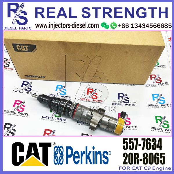Diesel Fuel Injector 267-9734 293-4071 557-7634 20R-8065 20R-8060 20R-8968 20R-1917 For C-At-Erpillar C9 Engine