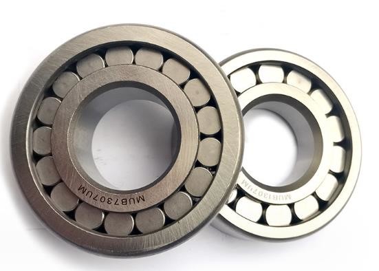 Buy Separable Cylindrical Roller Bearing P4 Precision Practical Double Row at wholesale prices