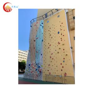 Quality Speed Climbing Wall Hand And Foot Holds Organic Resin ROHS Approved for sale