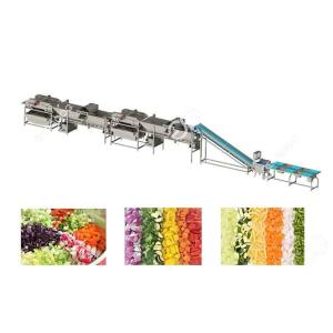 Commercial Vegetable Fruit Washing Equipment Vegetable Processing Line for