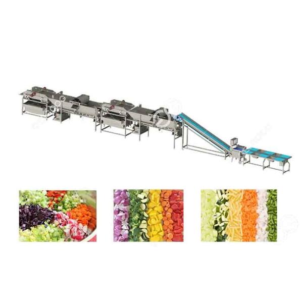Commercial Vegetable Fruit Washing Equipment Vegetable Processing Line for