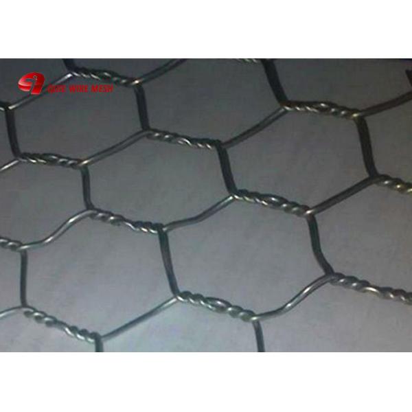 Galvanized Wire Mesh/Chicken Wire Mesh with Hexagonal Wire Netting