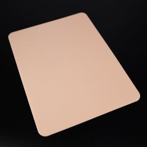 Silicone Blank Permanent Microblading Tattoo Practice Skin 19.2 * 14.3 Cm for