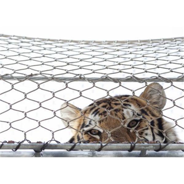 Outdoor SS304 316 Diamond Wire Mesh Panels Webnet Stainless Steel Wire Rope Mesh