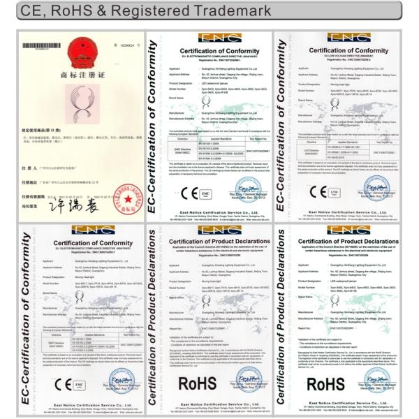 220W 6CH COB 2 Eyes Led Stage Wash Lights Warm White Blinder Light For Stage / Party