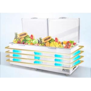 Big Capacity Deep Chest Freezer Double Door Deep Freezer Quick Freezer Chest 850