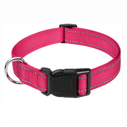 Woven Logo Puppy Flashing Collar