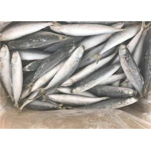 China Healthy Gutted Shape 60g 80g Frozen Sea Fishing Bait on sale