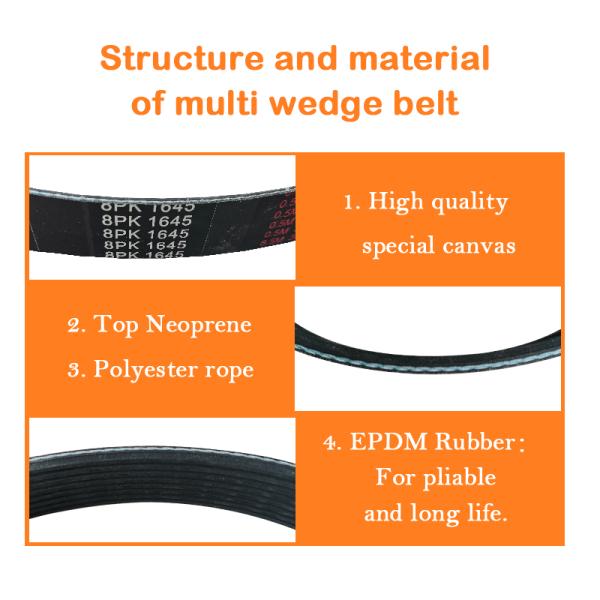OEM 3015259 Multi Wedge Belt For MITSUBISHI 8PK1645