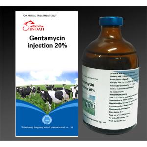 Quality Gentamycin injection 20% for sale
