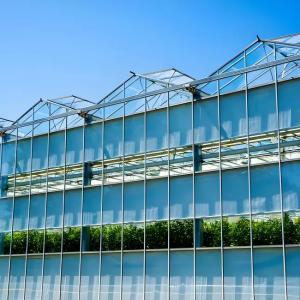 Quality Intelligent Venlo Glass Greenhouse for Bean Growth for sale