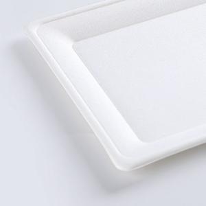 Biodegradable Food Container Rectangular Bagasse Plates
