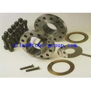 TOBO GROUP AISI SAE 4130 Blind Flange for Pipe Line