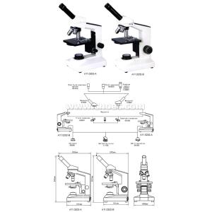 Portable Achromatic Binocular Compound Microscope A11.0202 For Lab