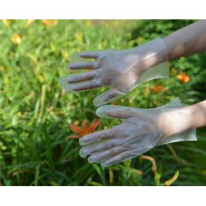 Ambidextrous Food Grade Disposable TPE Gloves