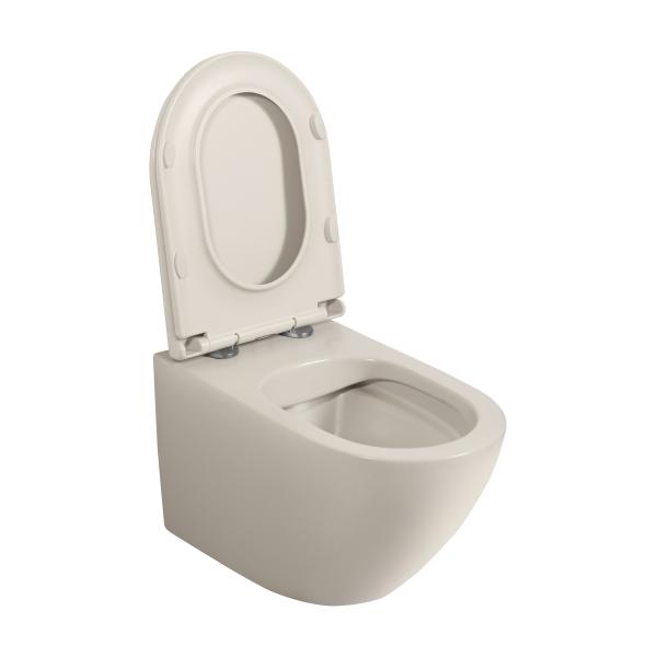 European Ceramic Rimless Washdown New Trend Taupe Color Wall Mounted Toilet Concealed Tank