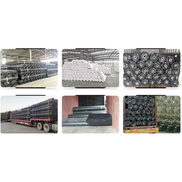 Geogrid Manufacturers Retaining Wall Plastic 30kn Parking Geogrid Driveway For Rod