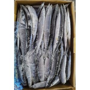 1# BQF Seafrozen Pacific Saury Fish With Bulk Packaging