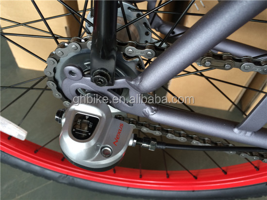 City Bicycle Gloss Weight 19kg Steel Fork Beach Cruiser Bike for Urban Riding